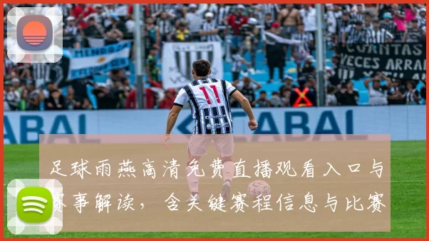 足球雨燕高清免费直播观看入口与赛事解读，含关键赛程信息与比赛影响分析