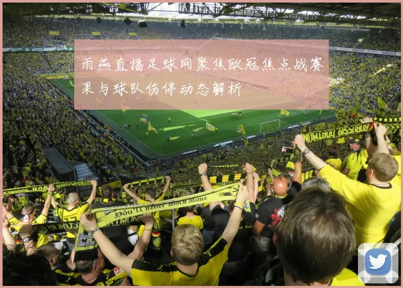 雨燕直播足球网聚焦欧冠焦点战赛果与球队伤停动态解析
