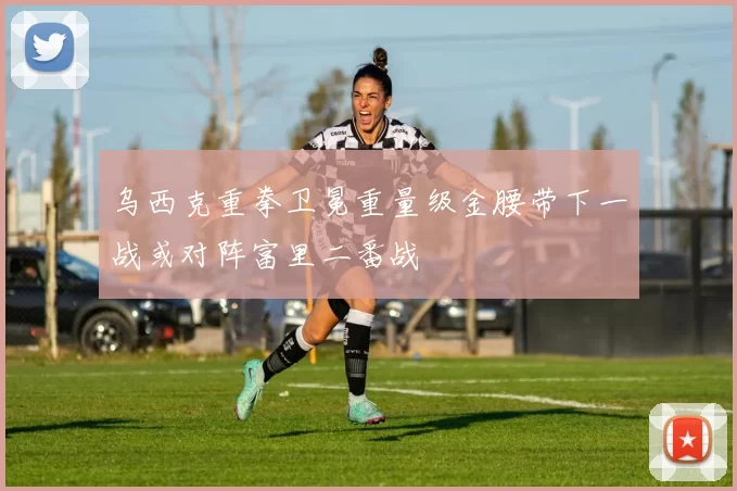 乌西克重拳卫冕重量级金腰带下一战或对阵富里二番战