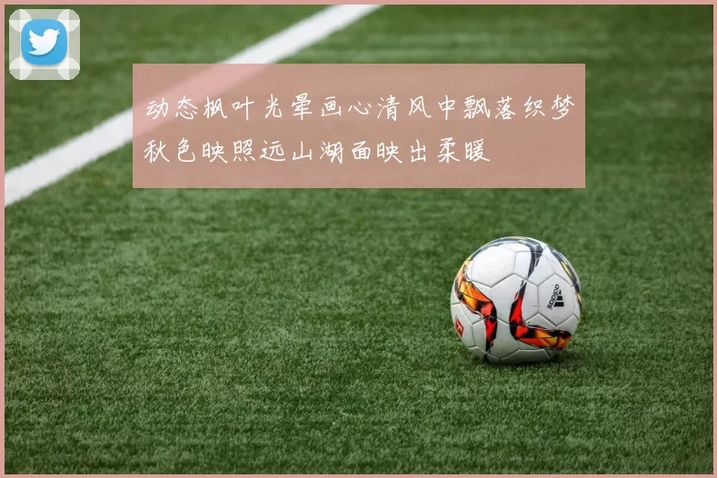 动态枫叶光晕画心清风中飘落织梦秋色映照远山湖面映出柔暖