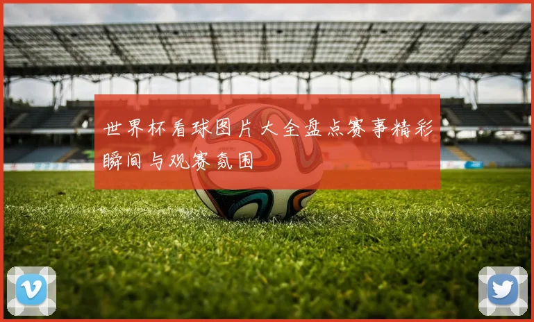 世界杯看球图片大全盘点赛事精彩瞬间与观赛氛围