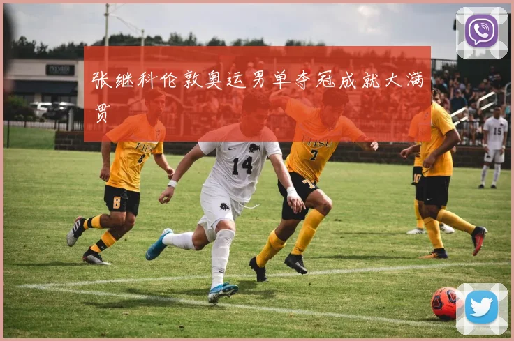 张继科伦敦奥运男单夺冠成就大满贯
