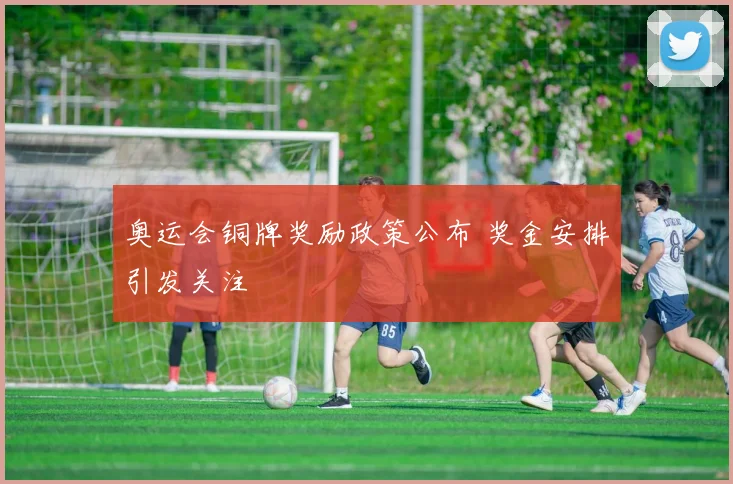 奥运会铜牌奖励政策公布 奖金安排引发关注